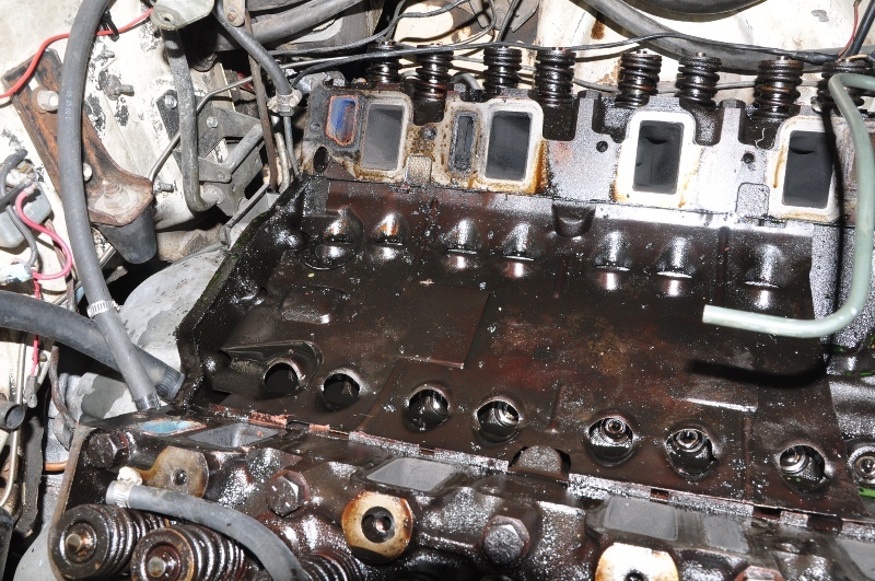 Valley Pan / Shield Vintage Thunderbird Club International